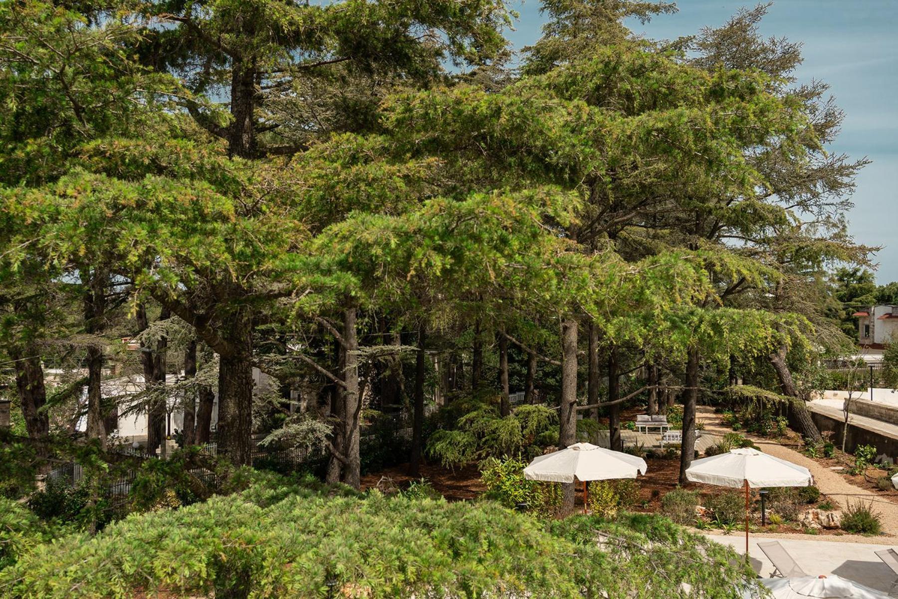 Borgo Lucia Villa Selva Di Fasano Kültér fotó