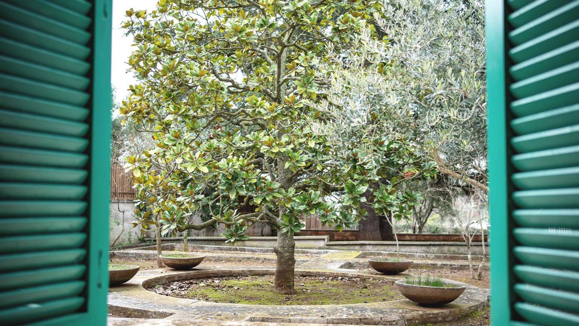 Borgo Lucia Villa Selva Di Fasano Kültér fotó